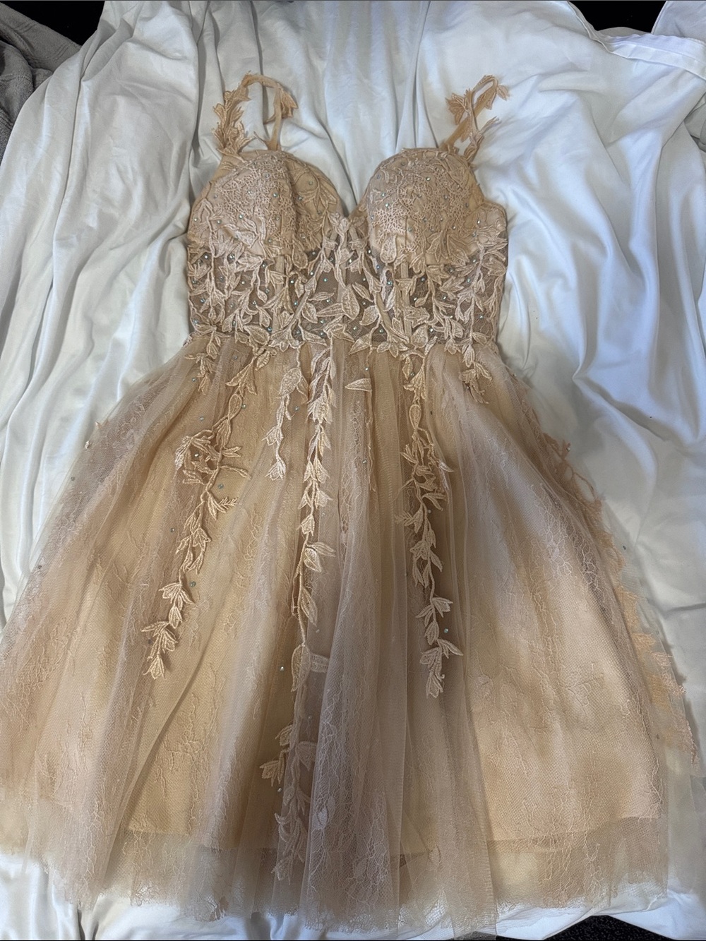 Amazon Beige Lace A-Line Maxi Dress